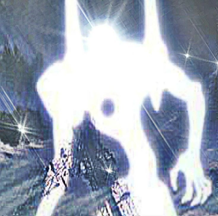kaidon